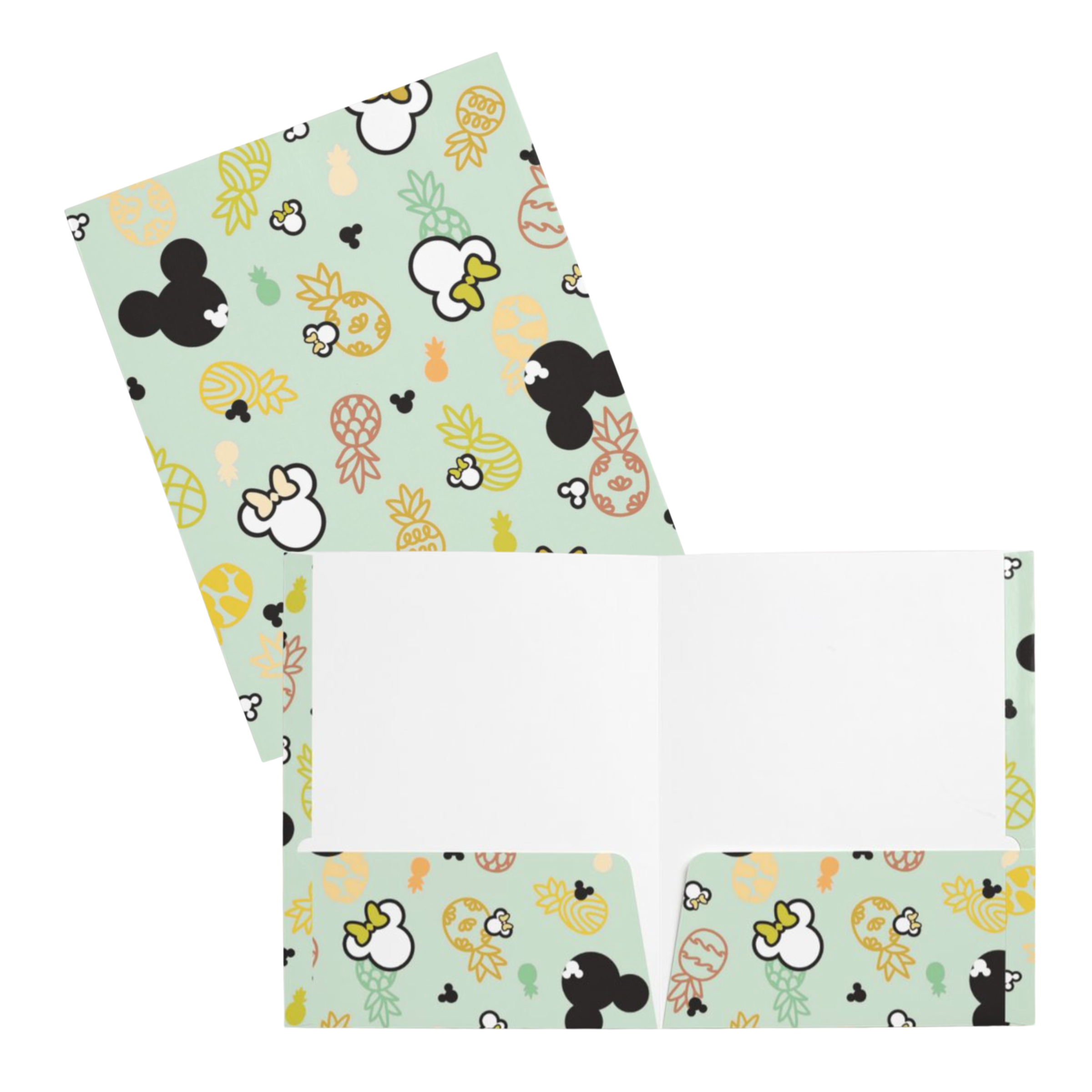 2 POCKET FOLDER