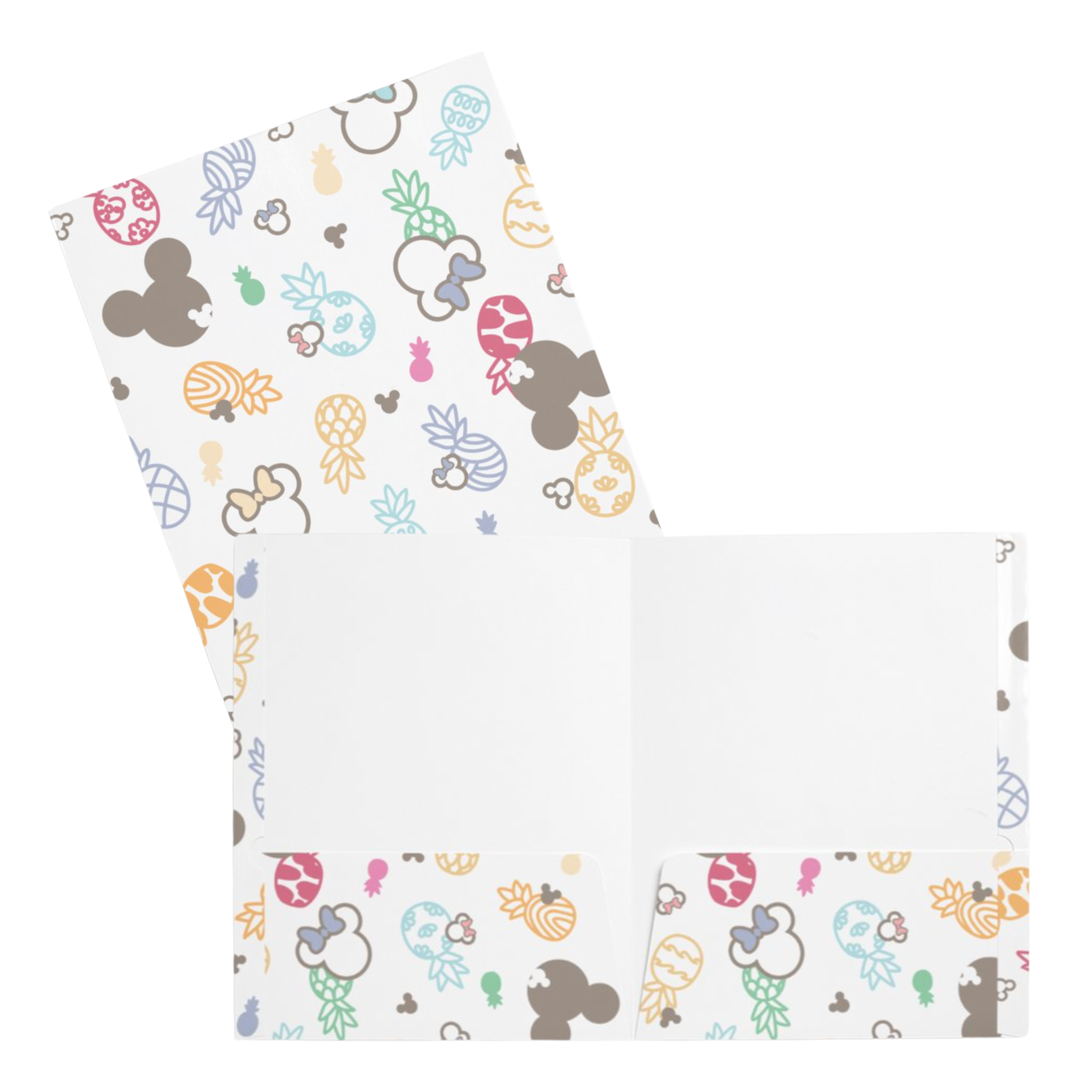 2 POCKET FOLDER