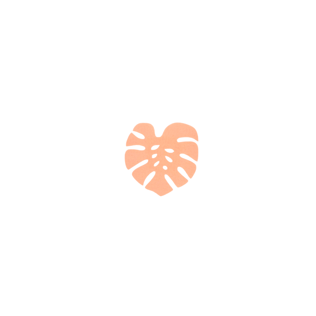 MONSTERA FELT COASTER